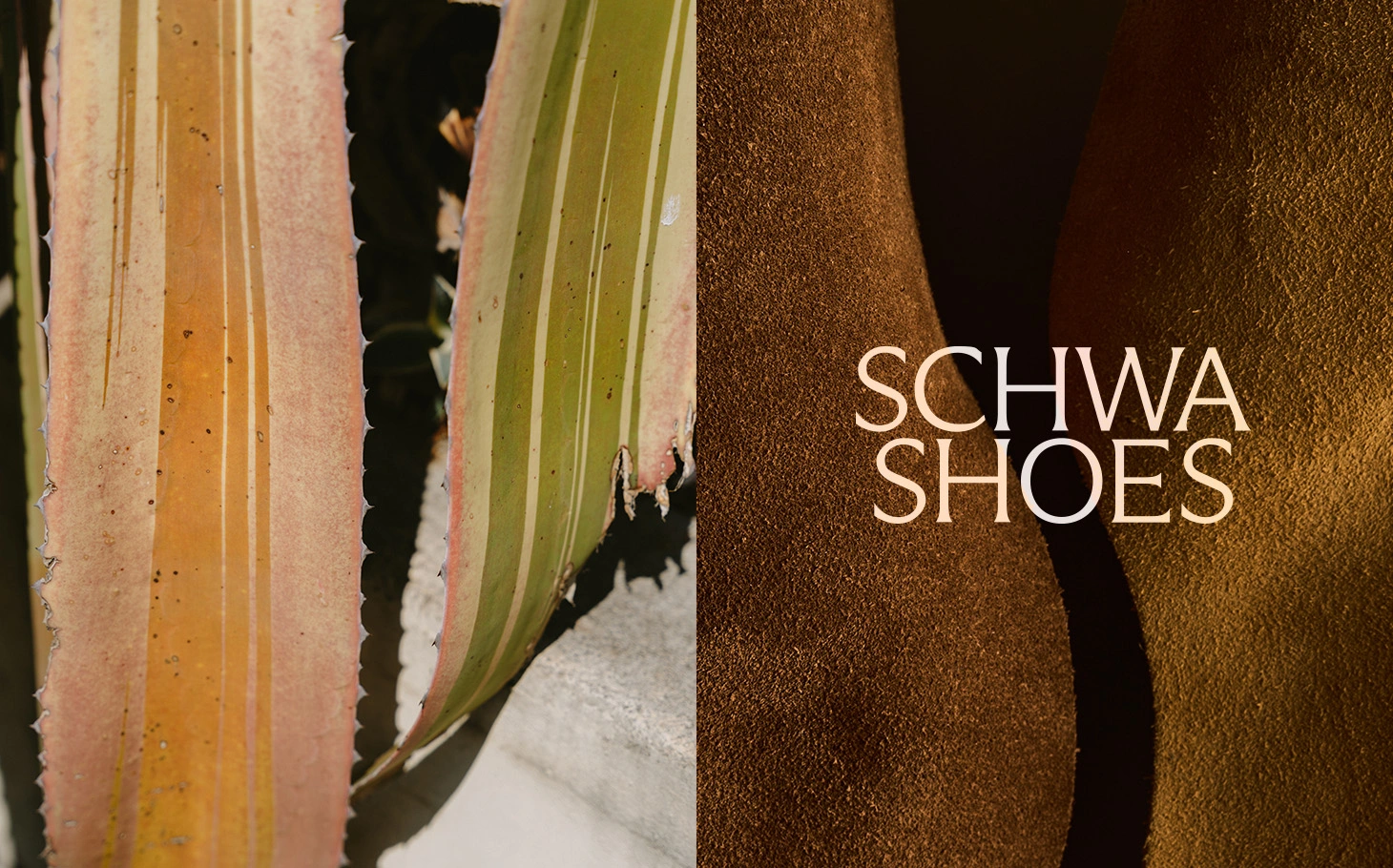 Leather flats on rocks by the sea